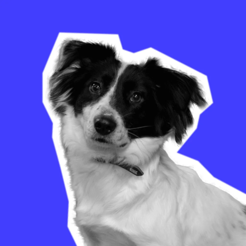 Pixel